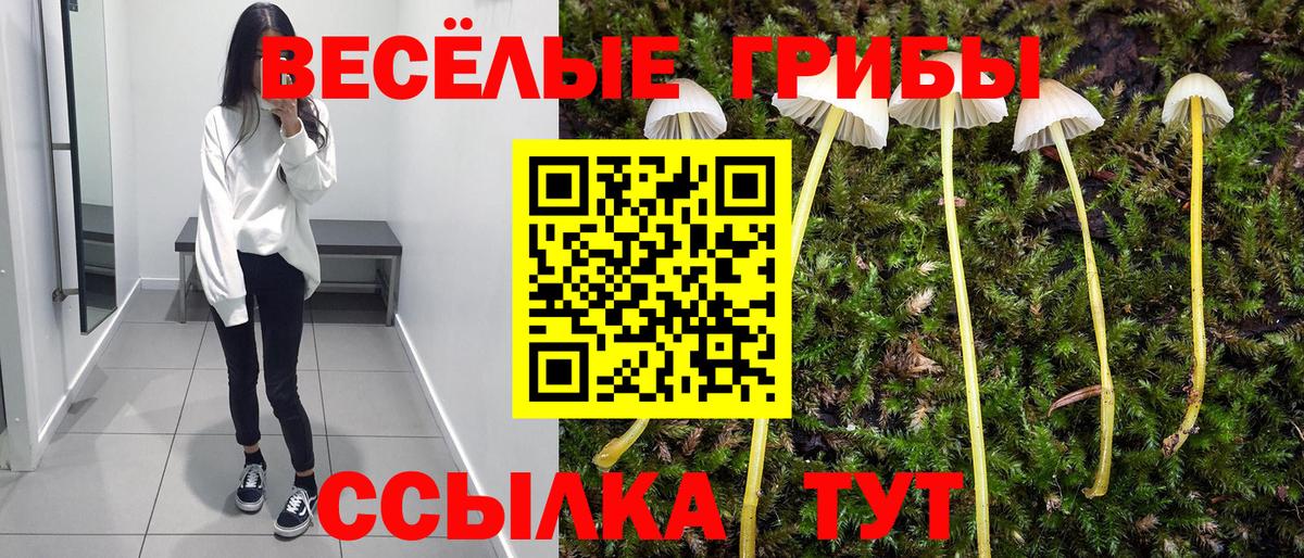Галлюциногенные грибы Magic Shrooms Азнакаево
